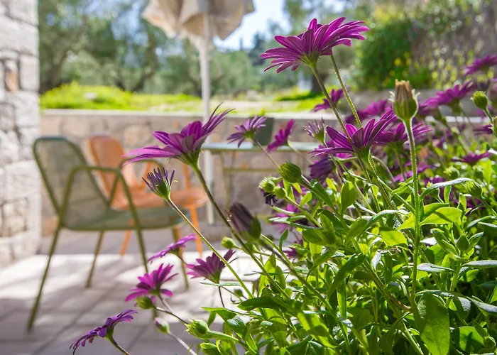Anthemion Suites And Villas Nafplio